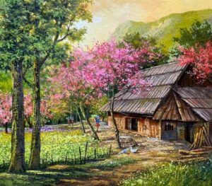 Tây Bắc gồm những tỉnh nào